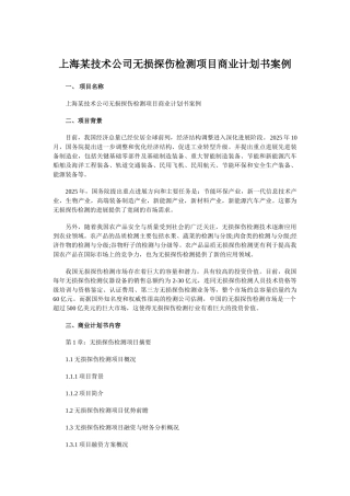 上海某技术公司无损探伤检测项目商业计划书案例