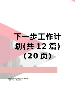 下一步工作计划