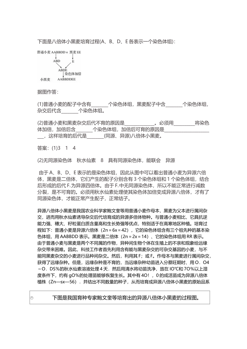 下面是八倍体小黑麦培育过程_第2页