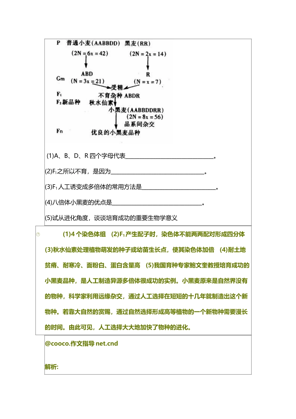下面是八倍体小黑麦培育过程_第3页