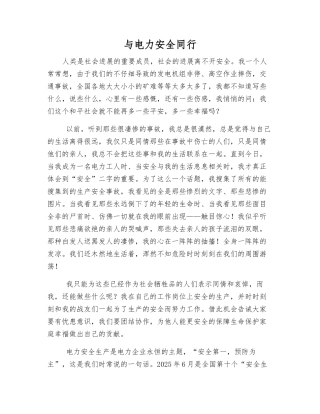与电力安全同行