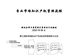专业市场知识产权管理流程
