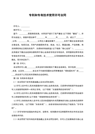 专利和专有技术使用许可合同