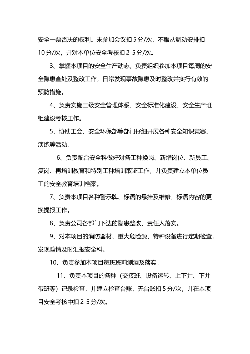 专职安全管理人员职责分工表_第3页