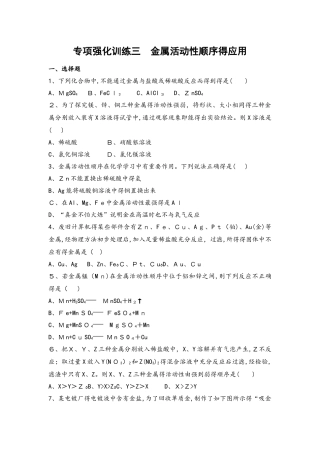 专项强化训练三 金属活动性顺序的应用（可自主编辑word）