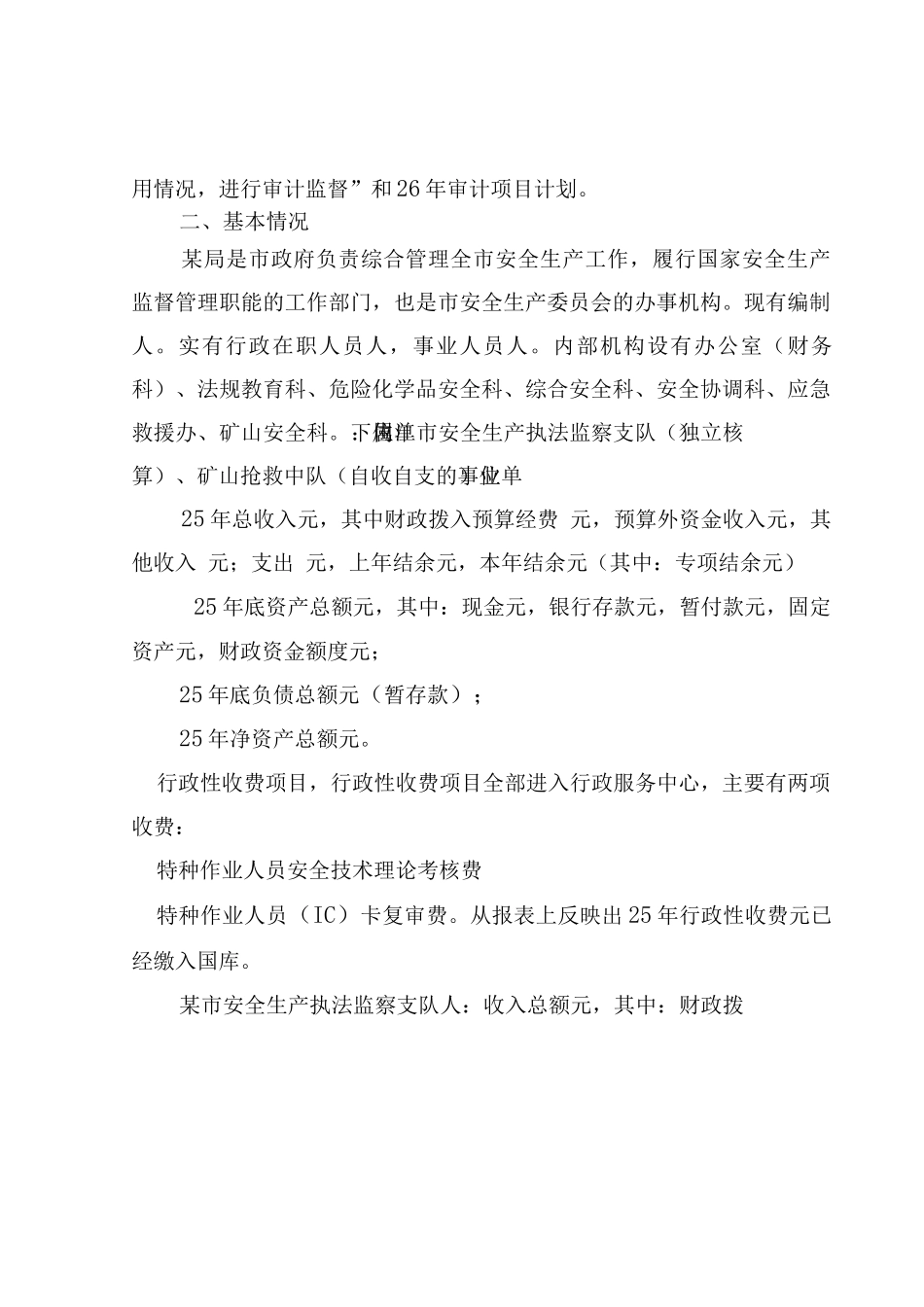 专项资金审计实施方案_第2页