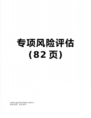 专项风险评估