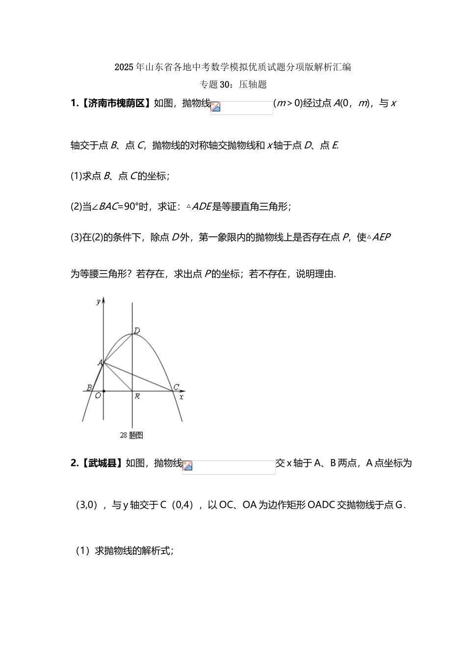 专题30-压轴题-备考2025年中考山东省各地数学模拟优质试题分项汇编_第3页