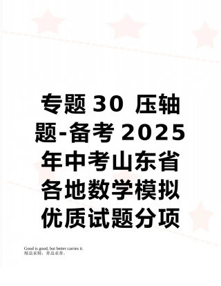 专题30-压轴题-备考2025年中考山东省各地数学模拟优质试题分项汇编