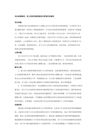 世纪纵横案例、某大型投资集团集团化管理咨询案例1