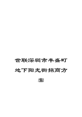 世联深圳市丰盛町地下阳光街招商方案