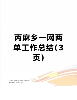 丙麻乡一网两单工作总结