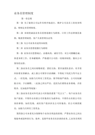 业务员管理制度-范文文档