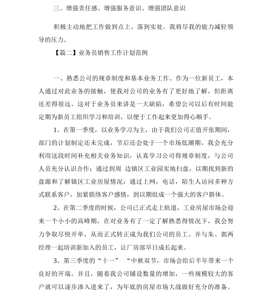 业务员销售工作计划_第2页