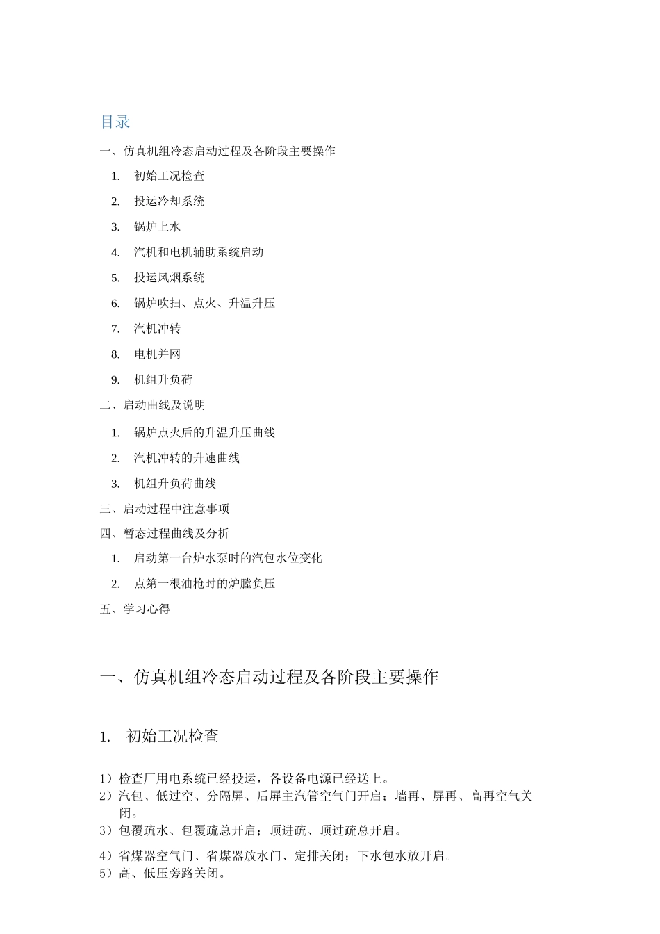 东南大学能源与环境学院电站仿真实习报告_第1页