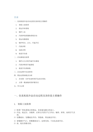 东南大学能源与环境学院电站仿真实习报告