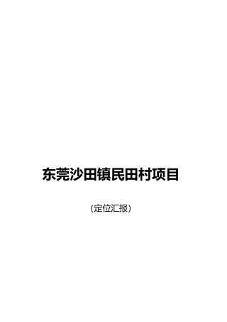 东莞沙田镇民田村项目定位报告
