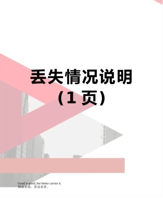 丢失情况说明
