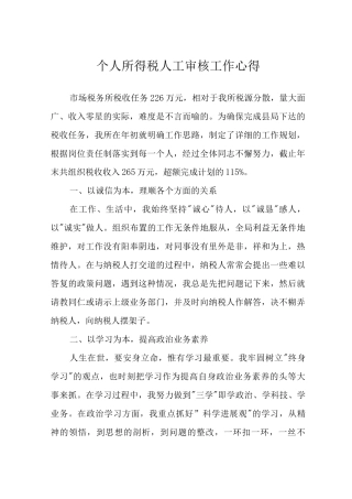 个人所得税人工审核工作心得