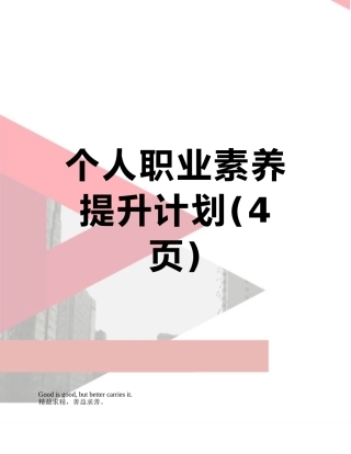 个人职业素养提升计划