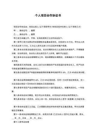 个人项目合作协议书