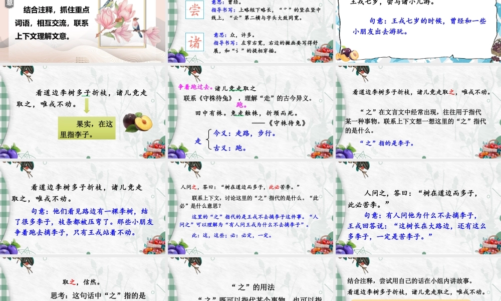 （24人教统编版小学语文）四年级上册第八单元25 王戎不取道旁李【课件】
