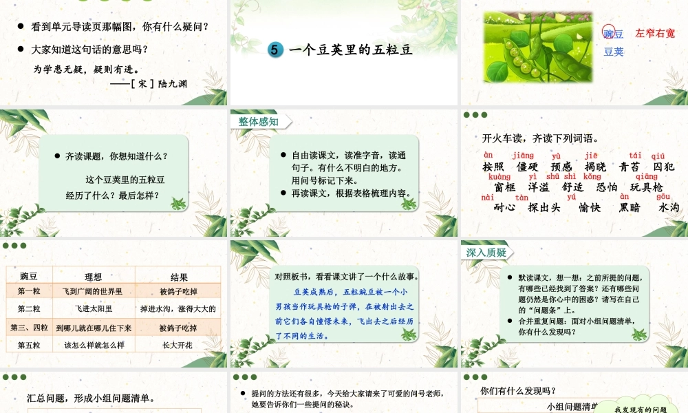 （24人教统编版小学语文）四年级上册第二单元5 一个豆荚里的五粒豆【课件】