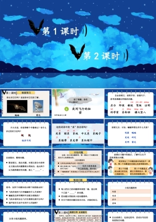 （24人教统编版小学语文）四年级上册第二单元6 夜间飞行的秘密【课件】
