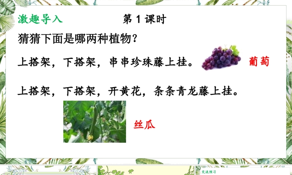 （24人教统编版小学语文）四年级上册第三单元10 爬山虎的脚【课件】