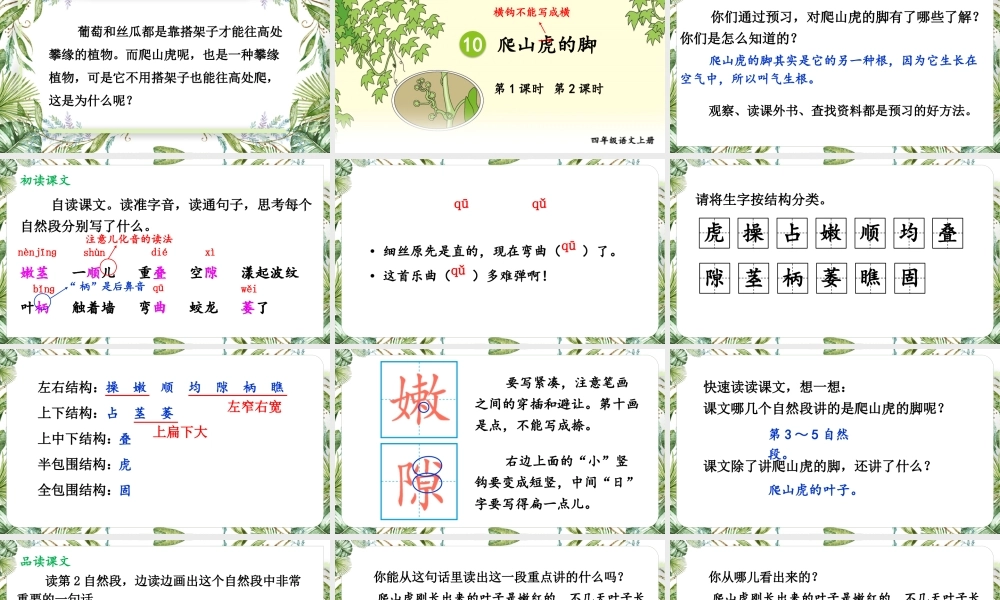 （24人教统编版小学语文）四年级上册第三单元10 爬山虎的脚【课件】