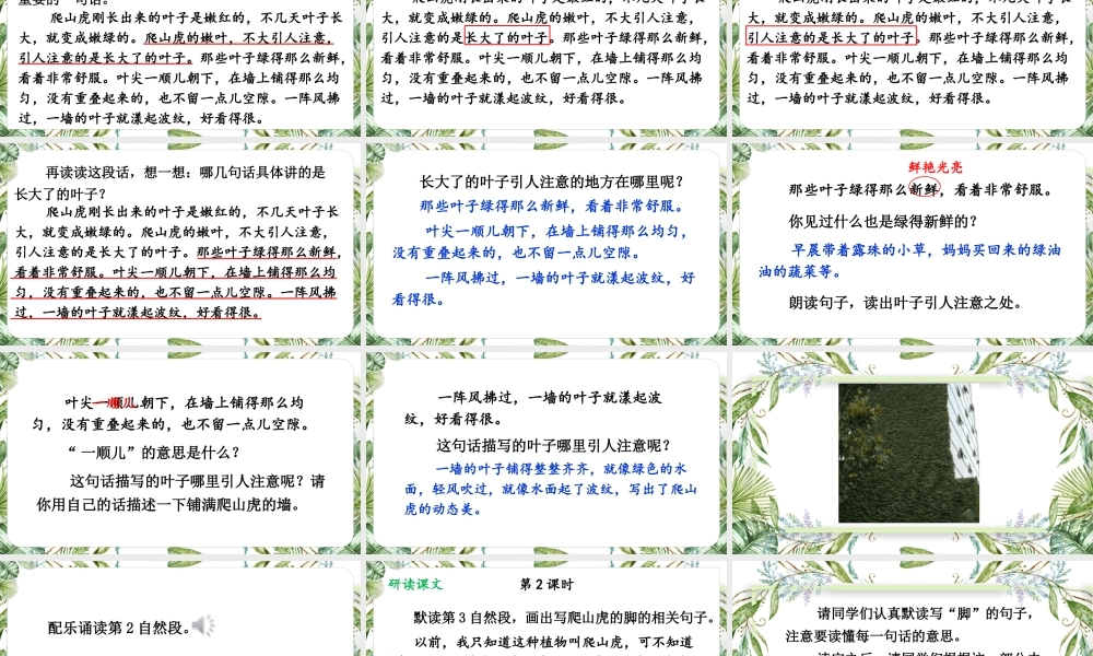 （24人教统编版小学语文）四年级上册第三单元10 爬山虎的脚【课件】
