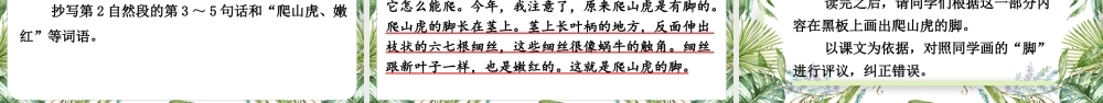 （24人教统编版小学语文）四年级上册第三单元10 爬山虎的脚【课件】