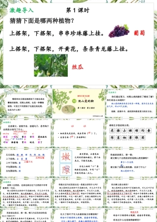 （24人教统编版小学语文）四年级上册第三单元10 爬山虎的脚【课件】