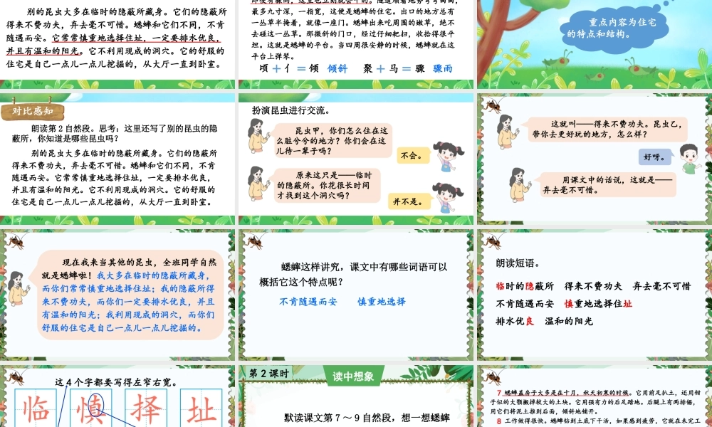 （24人教统编版小学语文）四年级上册第三单元11 蟋蟀的住宅【课件】