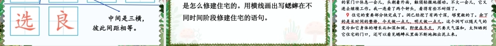 （24人教统编版小学语文）四年级上册第三单元11 蟋蟀的住宅【课件】
