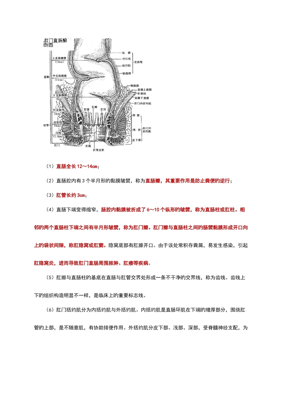 中医外科学讲义肛门直肠疾病_第2页