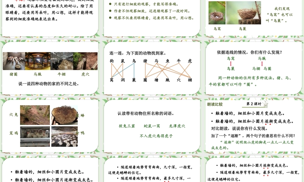 （24人教统编版小学语文）四年级上册第三单元语文园地三【课件】