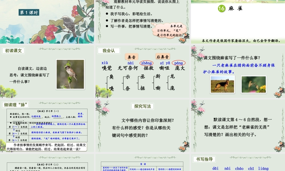 （24人教统编版小学语文）四年级上册第五单元16 麻雀【课件】