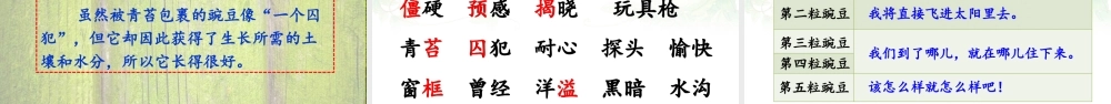 【24统编版】小学语文四年级上册第二单元5 一个豆荚里的五粒豆课件