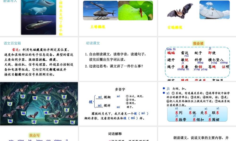 【24统编版】小学语文四年级上册第二单元6 夜间飞行的秘密课件