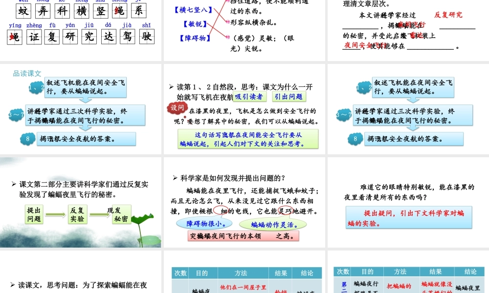 【24统编版】小学语文四年级上册第二单元6 夜间飞行的秘密课件