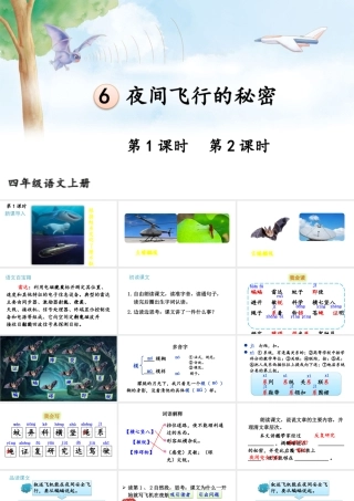 【24统编版】小学语文四年级上册第二单元6 夜间飞行的秘密课件