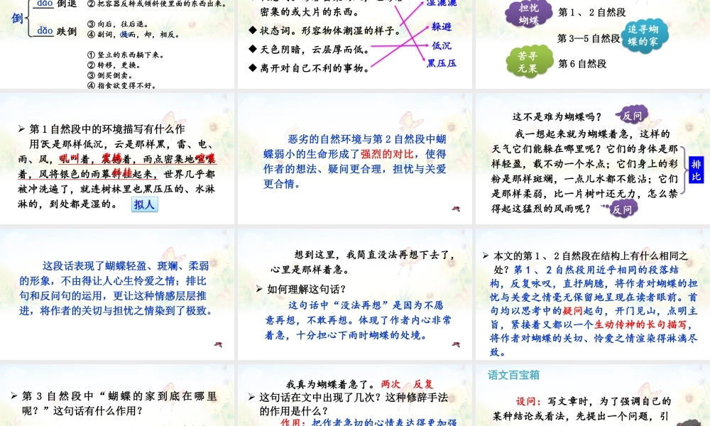 【24统编版】小学语文四年级上册第二单元8 蝴蝶的家课件