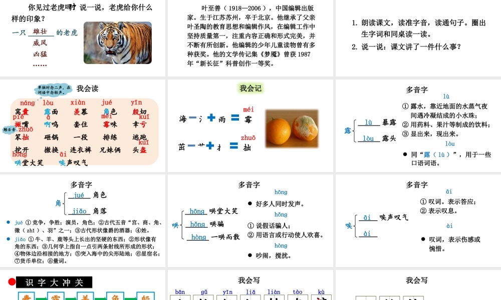 【24统编版】小学语文四年级上册第六单元19 一只窝囊的大老虎课件