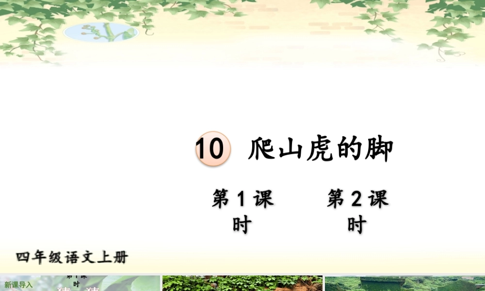 【24统编版】小学语文四年级上册第三单元10 爬山虎的脚课件