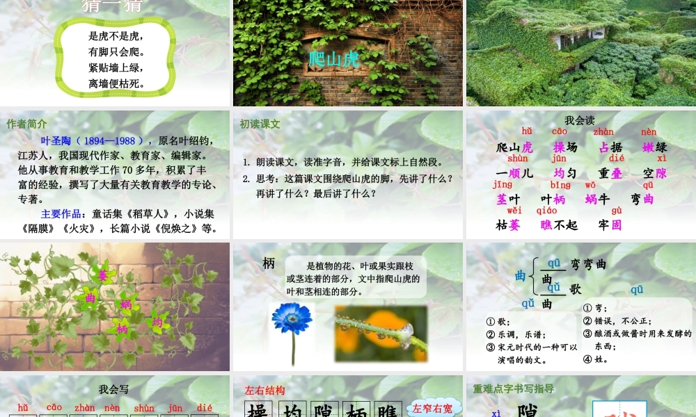 【24统编版】小学语文四年级上册第三单元10 爬山虎的脚课件