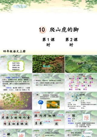 【24统编版】小学语文四年级上册第三单元10 爬山虎的脚课件