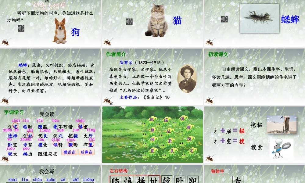【24统编版】小学语文四年级上册第三单元11 蟋蟀的住宅课件
