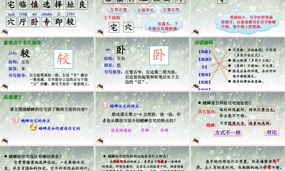 【24统编版】小学语文四年级上册第三单元11 蟋蟀的住宅课件
