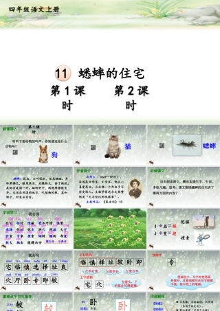 【24统编版】小学语文四年级上册第三单元11 蟋蟀的住宅课件